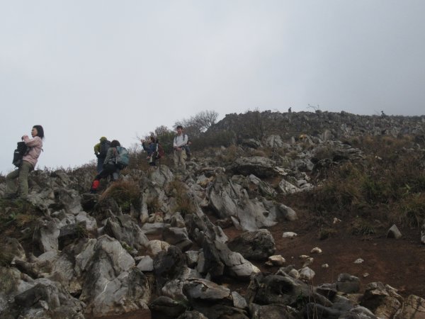 登山道